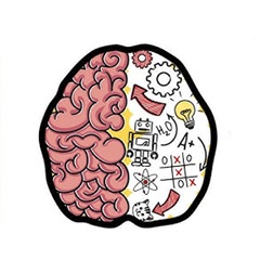 Brain Test